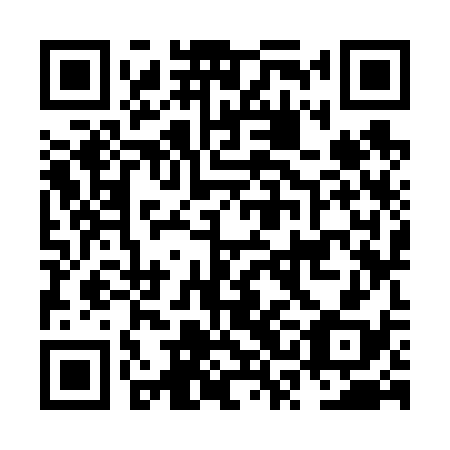 QR code for NSK 638