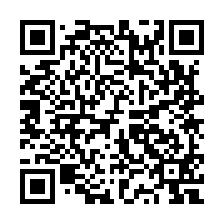 QR code for NSK 991