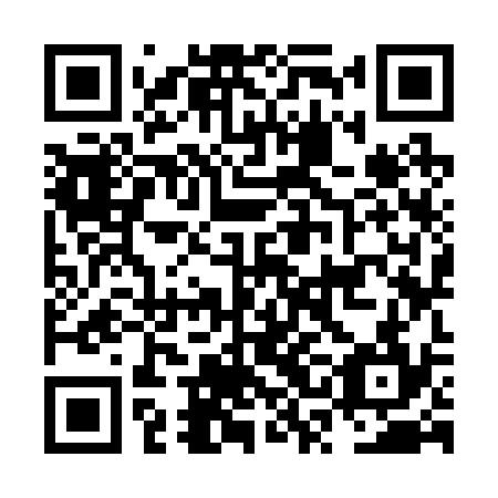 QR code for plate NSK 234