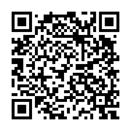 QR code for NSK491