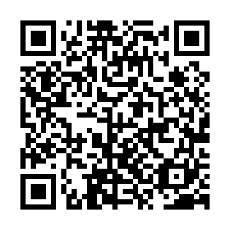 QR code for NSL161