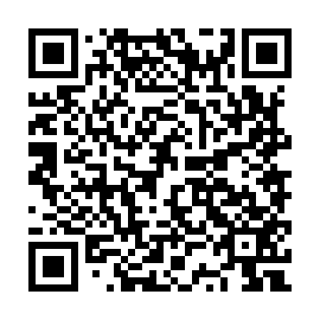 QR code for NSN953