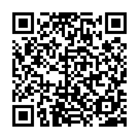 QR code for NSO 595