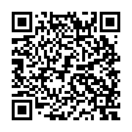 QR code for NSO383
