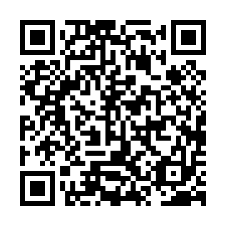 QR code for NSP 013