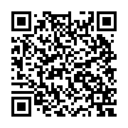 QR code for NSP 225