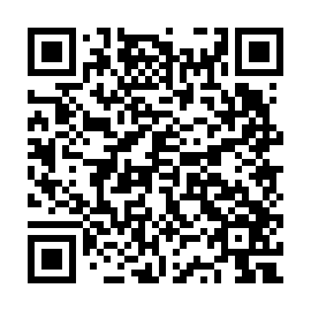 QR code for NSP 646