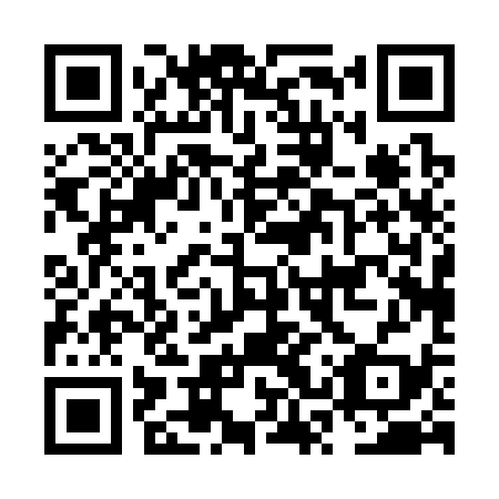 QR code for plate NSP 339