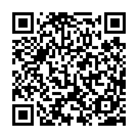 QR code for plate NSP 665