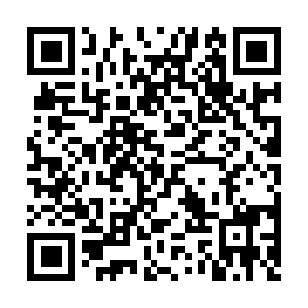 QR code for NSP958