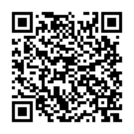 QR code for NSR 101