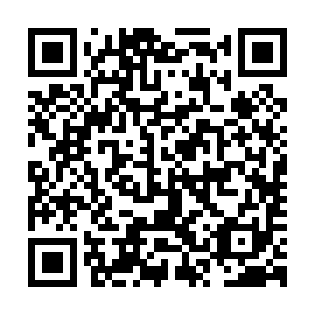 QR code for plate NSR 091