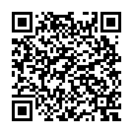 QR code for NSS 311