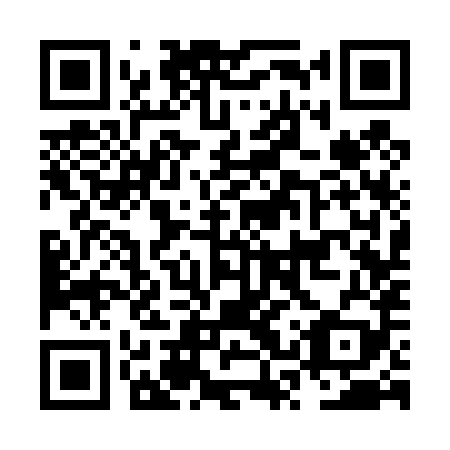 QR code for NSS 489