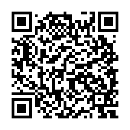 QR code for NST393