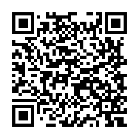 QR code for NST955