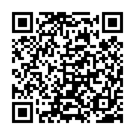 QR code for NSU413