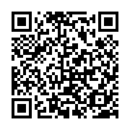 QR code for NSV 030