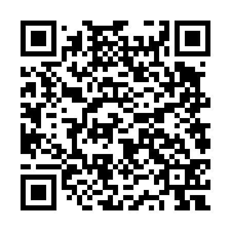 QR code for plate NSV 432
