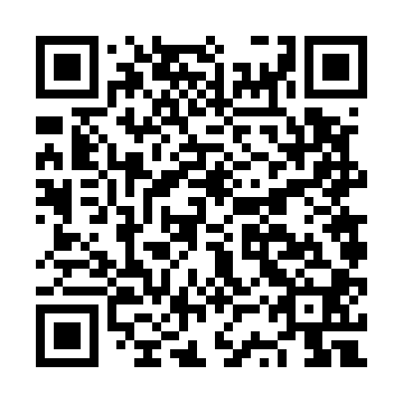 QR code for plate NSV 500