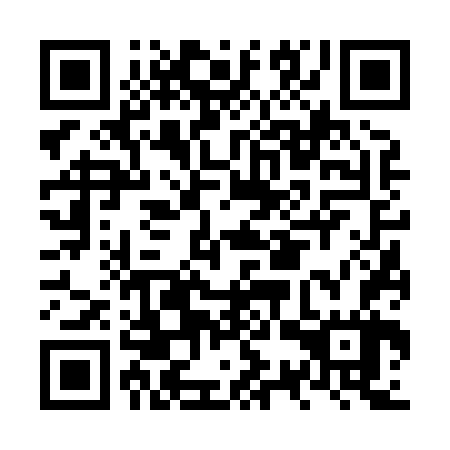 QR code for plate NSV 867