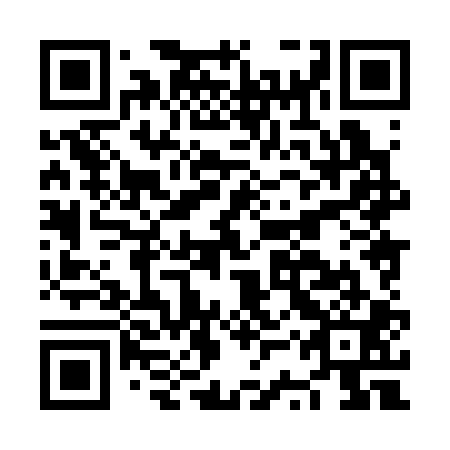 QR code for plate NSX 301