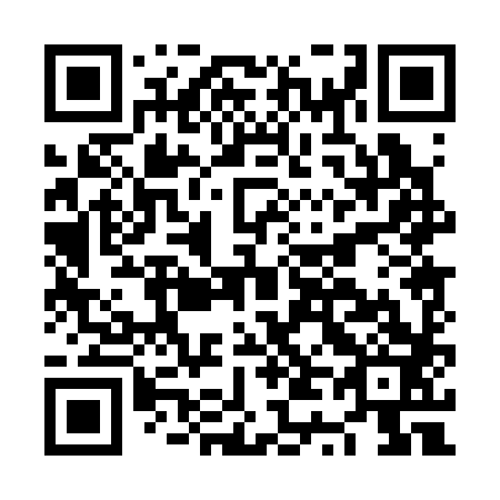 QR code for NT 0383