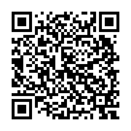 QR code for NT 0691