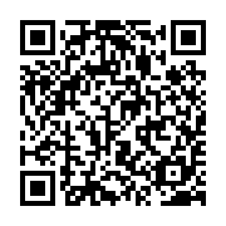 QR code for NT 3295