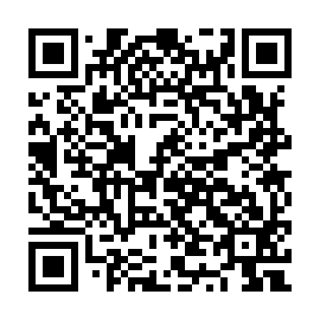 QR code for NT 3993