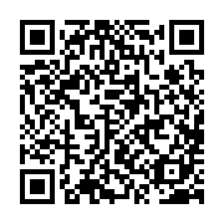 QR code for NT0381