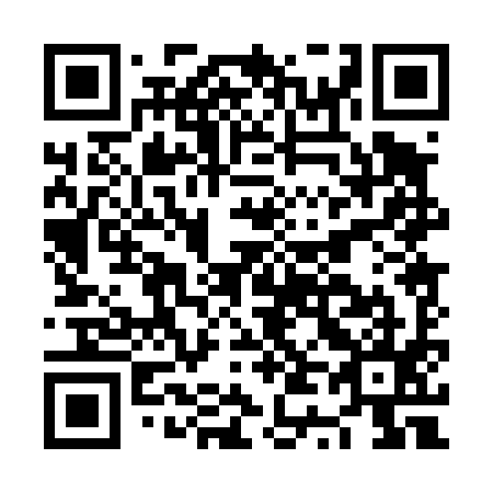 QR code for plate NT 0495