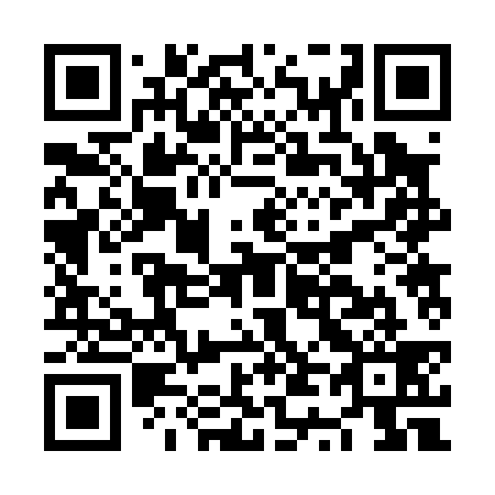 QR code for plate NT 2039