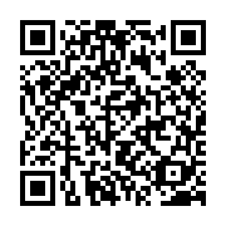 QR code for plate NT 3069