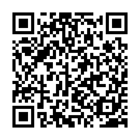 QR code for plate NT 3351