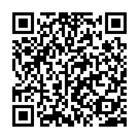 QR code for plate NT 3379