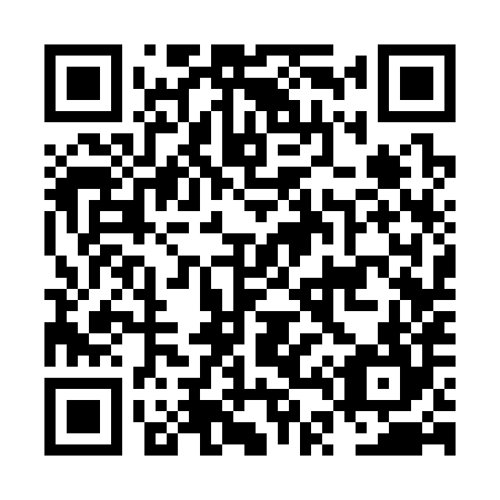 QR code for plate NT 3384
