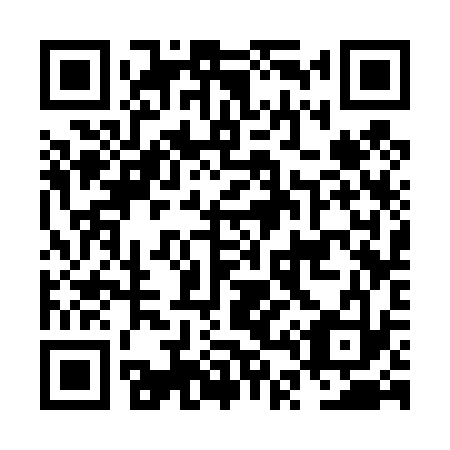 QR code for plate NT 3433