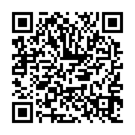 QR code for NT4313