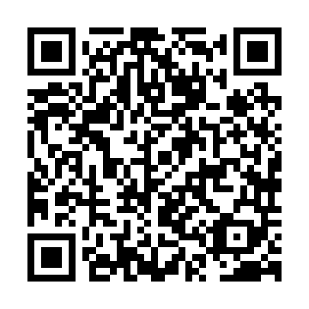 QR code for plate NT 8249