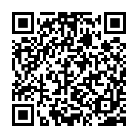 QR code for plate NT 9593