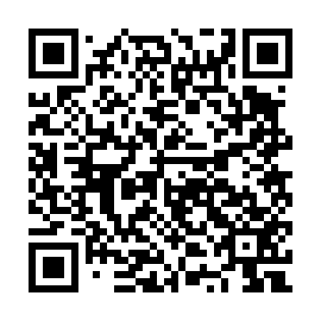 QR code for plate NTB 453