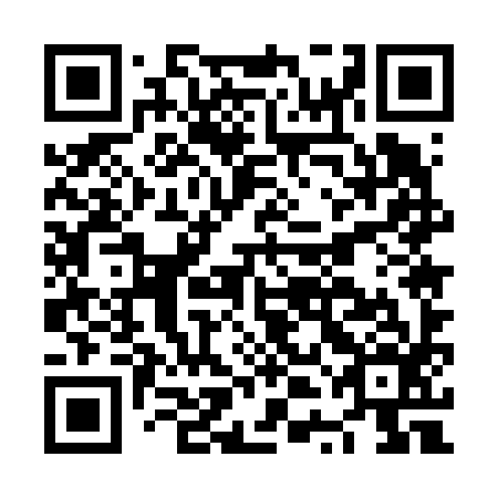 QR code for plate NTE 696
