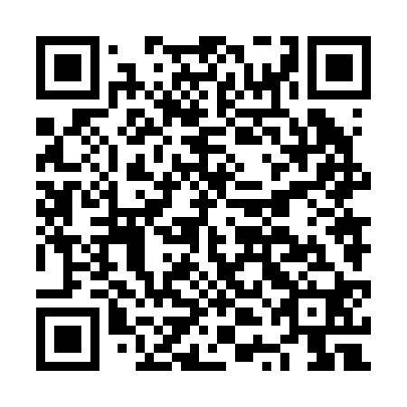 QR code for plate NTN 220