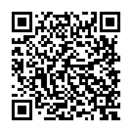 QR code for plate NTN 953