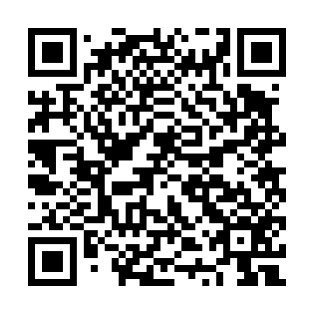 QR code for plate NTR 456