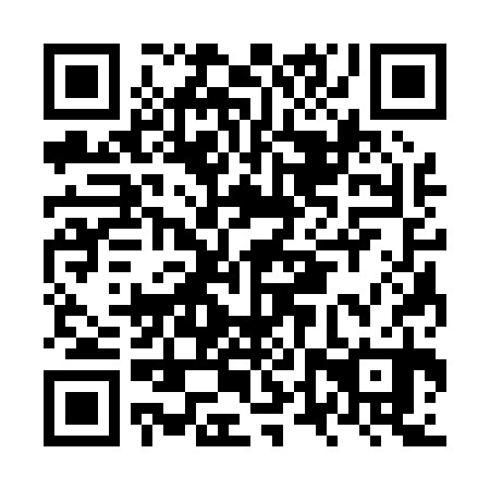 QR code for plate NTS 030