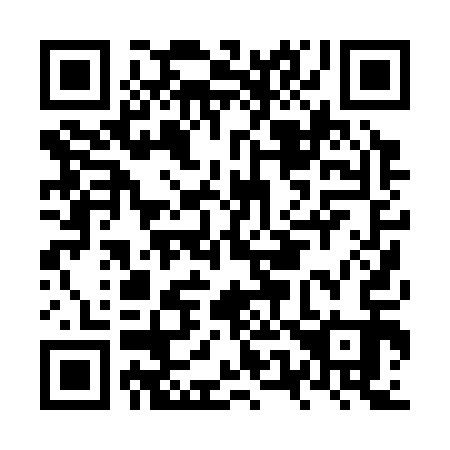QR code for plate NU 0313