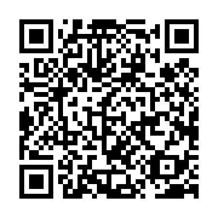 QR code for plate NU 0439