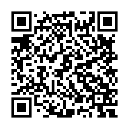QR code for plate NU 3863